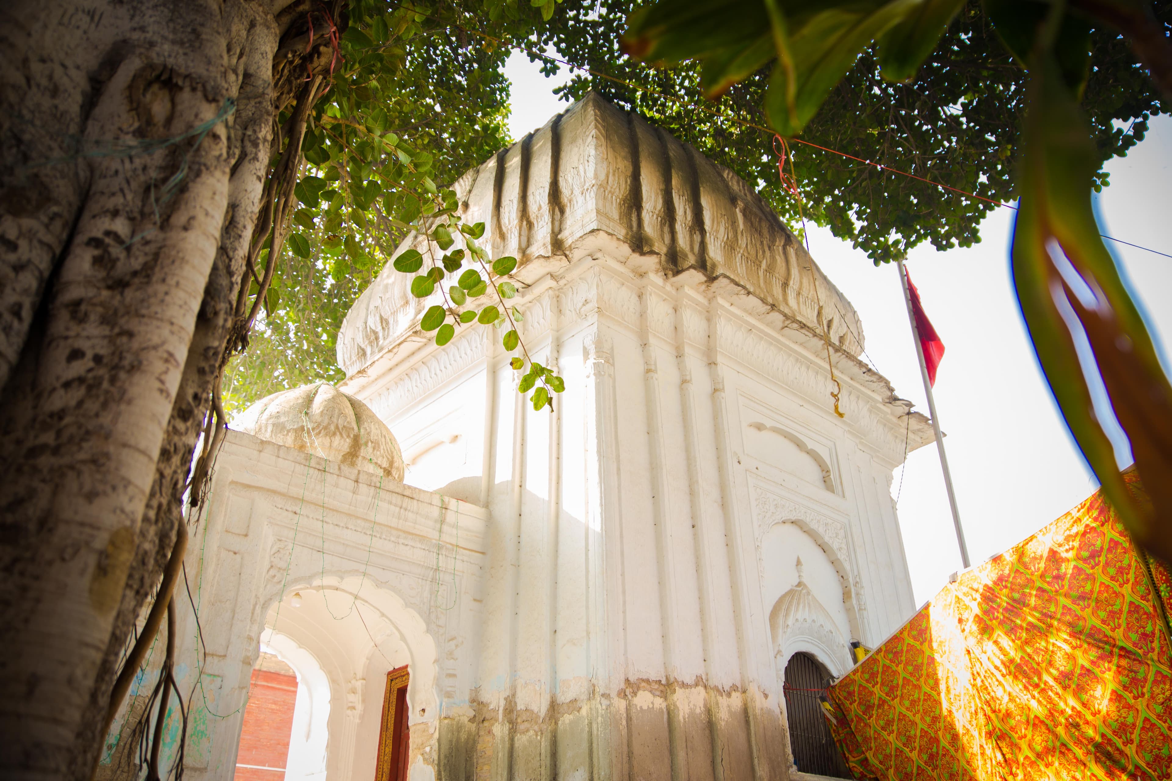 Mander Community Camp